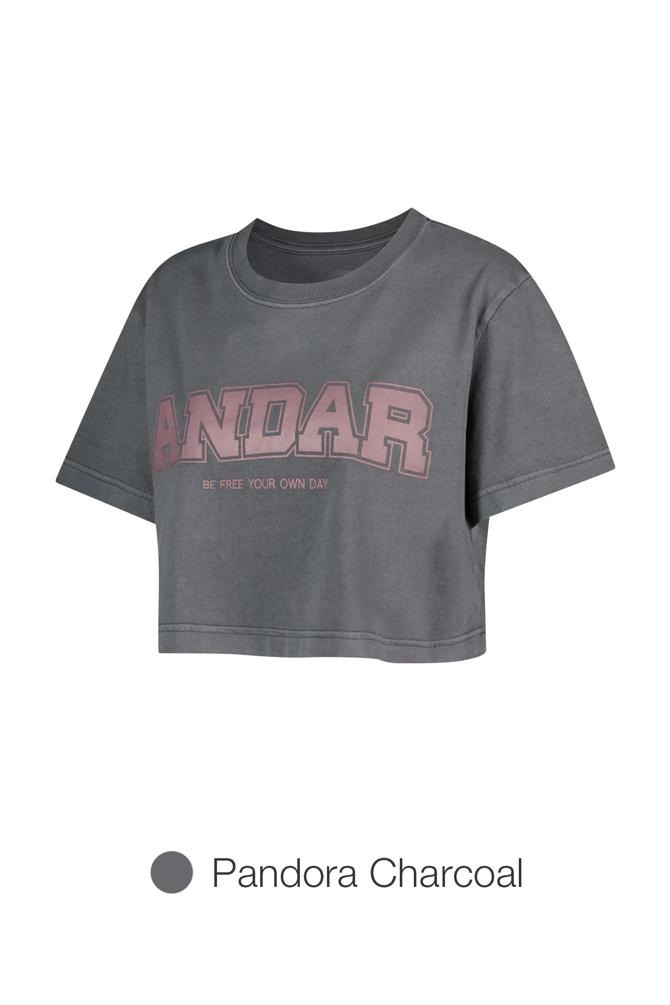 ANDAR Pigment Dyed Cropped Short Sleeve - Image 5