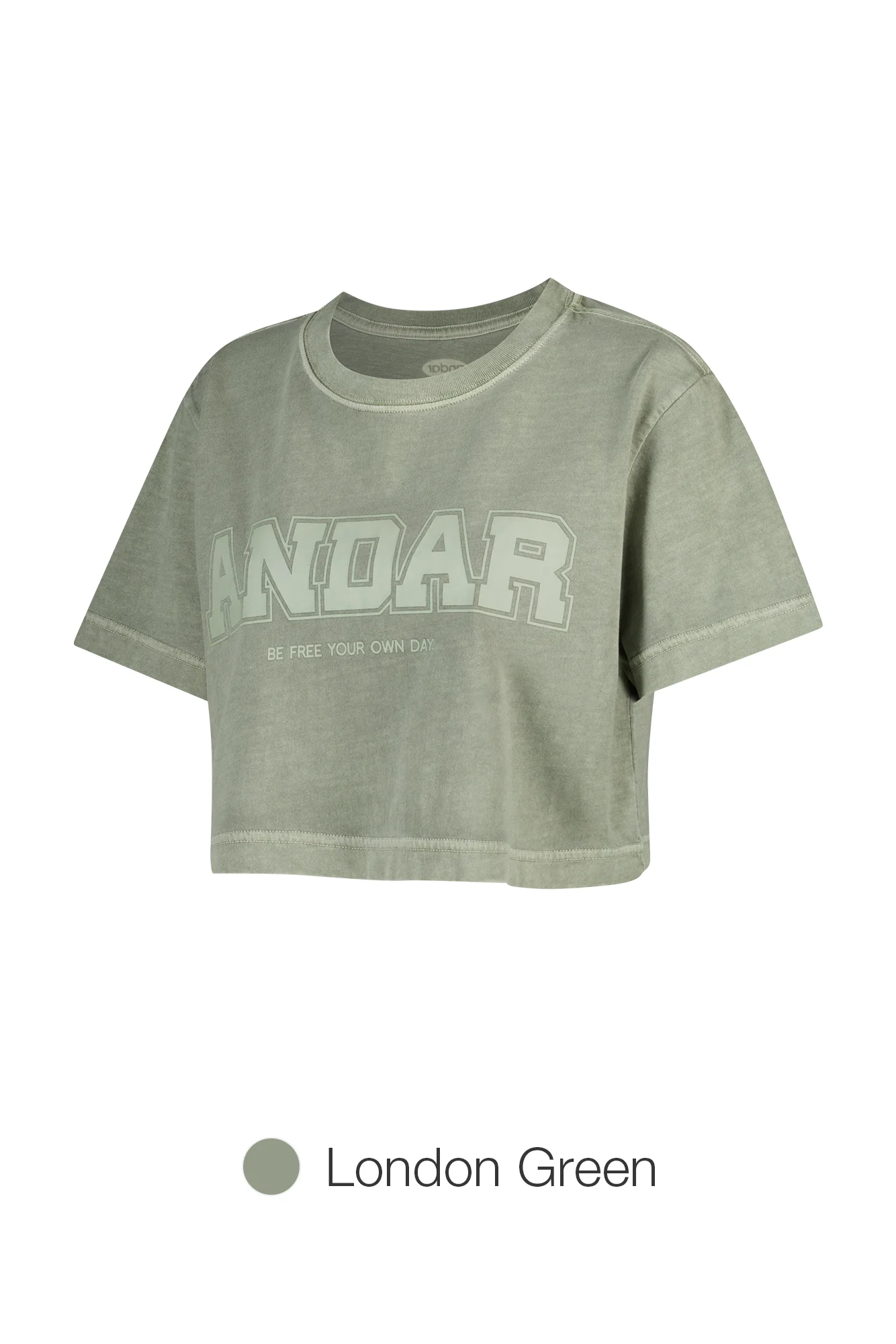 ANDAR Pigment Dyed Cropped Short Sleeve - Image 7